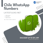 Chile WhatsApp Number Data