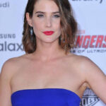 Cobie Smulders From Vancouver to Hollywood | Sticky Analyze