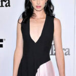 Krysten Ritter From Small-Town Beginnings to Hollywood