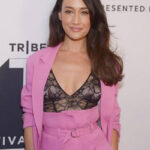 Maggie Q From Honolulu Beginnings to Hollywood Action Star