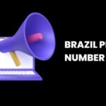 Brazil Phone Number List