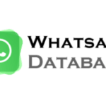 WhatsApp Database